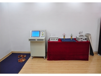Project Title: Research on Key Technologies and Instrument Development of Carpet Static Detection