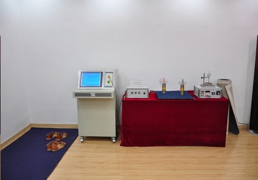 Project Title: Research on Key Technologies and Instrument Development of Carpet Static Detection