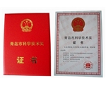项目获奖